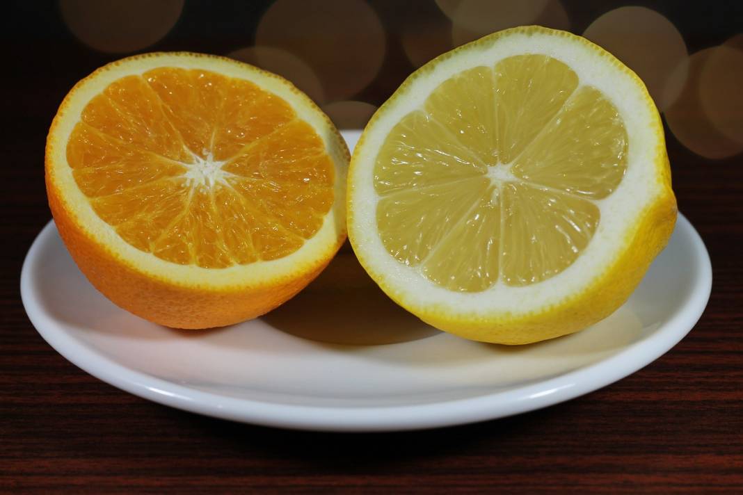 Aynı familyaya sahip portakal ve limon neden farklı kokar? 16